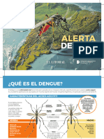 Informe Especial Dengue