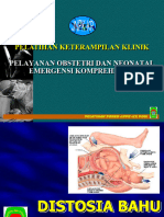 Distosia Bahu DR - Herlin 2022