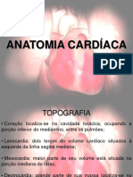 Anatomia Cardíaca