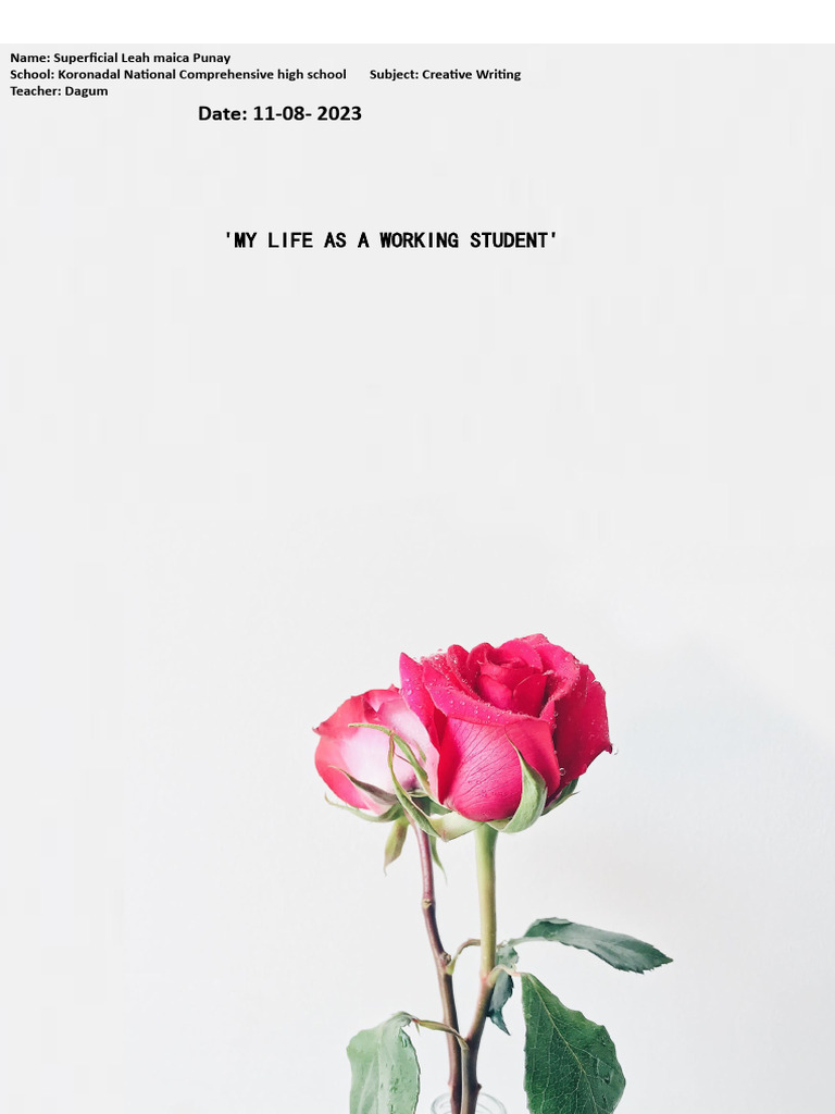 My Life as a Working Student | PDF