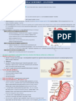 Stomac Și Duoden - Anatomie