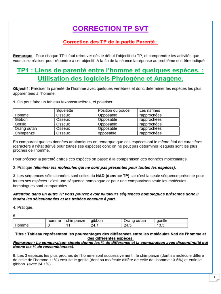 Correction TP Sordaria et Drosophile | PDF | Testicule | Anticorps
