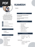 Blue Professional Modern CV Resume