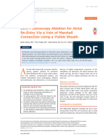 Ailoaei Et Al 2021 Zero Fluoroscopy Ablation For Atrial Re Entry Via A Vein of Marshall Connection Using A Visible