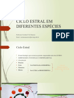 Ciclo Estral em Diferentes Espécies