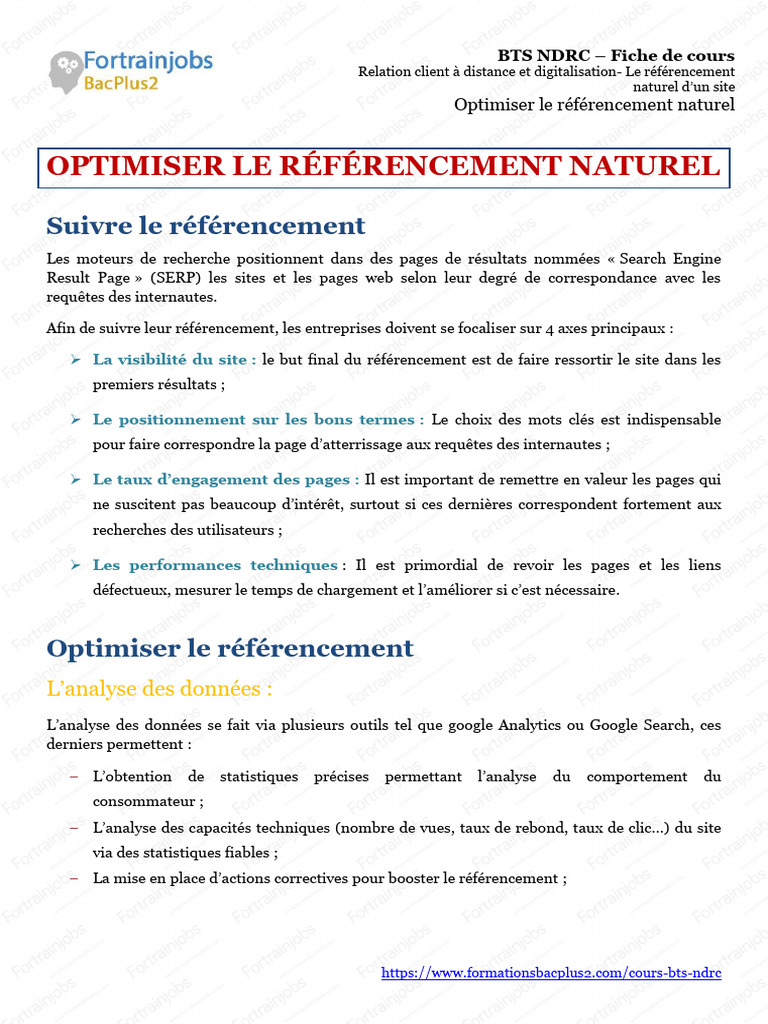 Optimiser le Référencement Naturel | PDF | Optimisation de moteur de ...