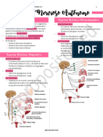 10 - Sistema Nervioso Autónomo