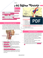 8 - Irrigación Del Sistema Nervioso