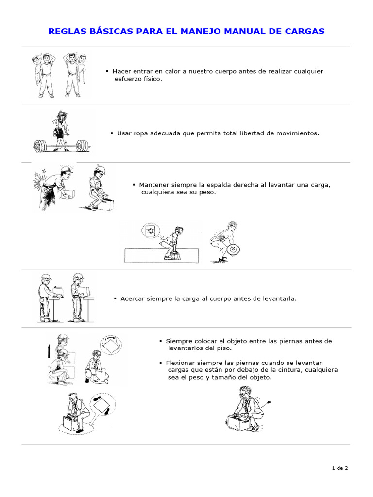 Recom Manejo Manual de Cargas | PDF