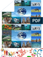 Biodiversité Cours 1 PDF