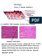 Tugas Histo Gambar 