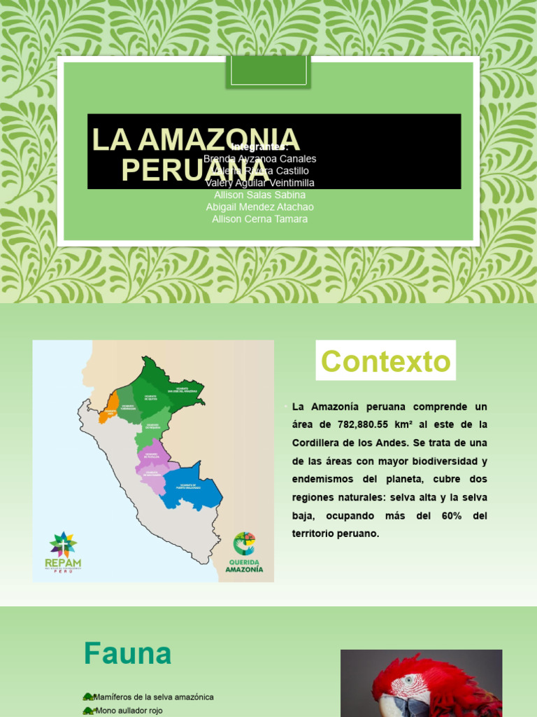 La - Amazonia - Peruana Grupo 1 | PDF