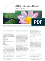 A4 Pink Lotus Info Sheet