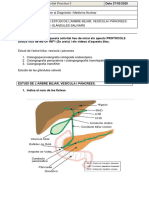 Solucionari Activitat Contrast Fetge I Glandules Salivars