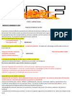 Superpdf Mod 2 Seminario 3