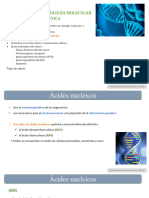 D08 - Bio - Biologia Molecular y Genetica - Unidad 1
