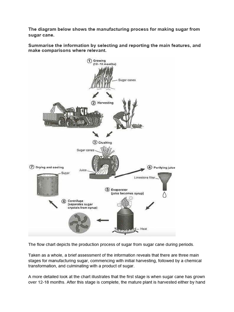 Sugar Production from Sugar Cane Process | PDF