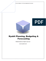 Kyubit Planning Budgeting and Forecasting