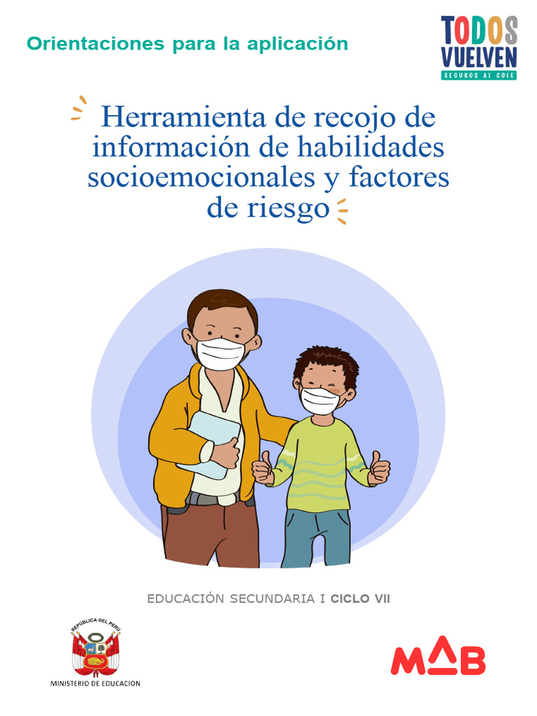 Recojo Informacion Ciclo VII | PDF | Las emociones | Empatía