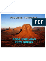 Program Perkesmas Di Puskesmas