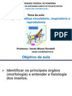 Aula Fisil. - Aps Circ Resp e Repr EI