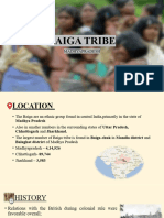 Baiga Tribe PPT