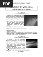EDVII - módulo de Miologia Do Membro Superior