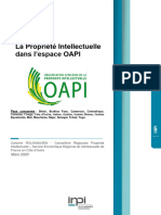 Kit OAPI 2020