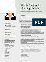 Cv. Maria Alejandra Llontop Perez 2024