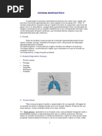 Sistema Respiratório