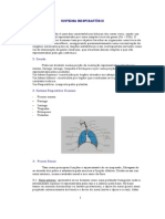 Sistema Respiratório