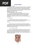 Sistema Urinário