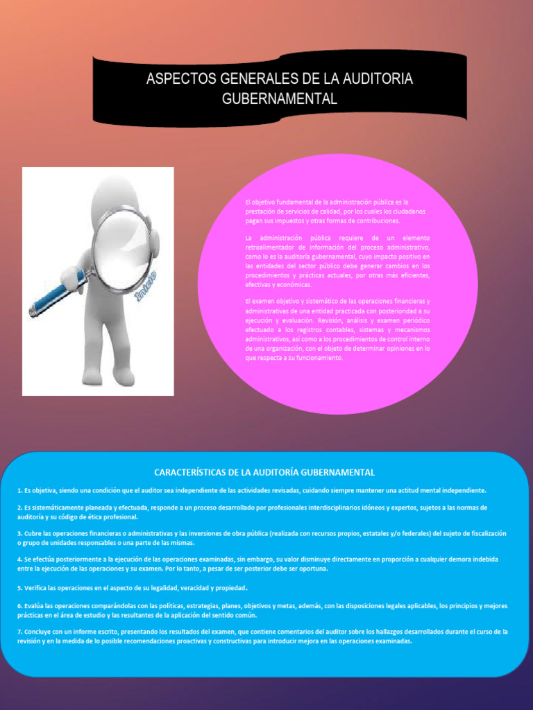 Aspectos Generales de La Auditoria Gubernamental Infografia | PDF ...