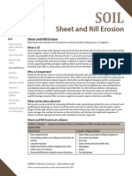 Sheet and Rill Erosion