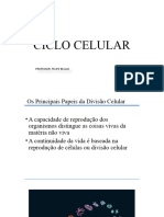 Ciclo Celular - Mitose