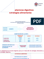 2.2. Adaptaciones Digestivas