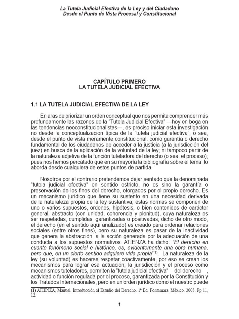 Tutela Judicial Efectiva y Ciudadanía | PDF | Jurisdicción | Justicia