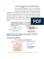 Estructura y Factores de Virulencia de e