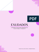 EXUDADOS