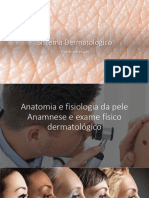 Sistema Dermatológico 1