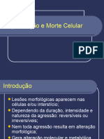 Degeneração e Morte Celular