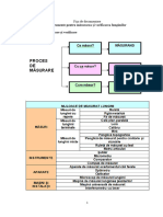 Fisa de Documentare Mijloace PT Masurare Si Verificare