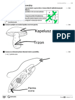 Edited - Biologia Klasa 5 - Karta Pracy Powtórzenie 2