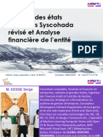 Document Du Séminaire PRO - Analyse Des États Financiers Syscohada Révisé Et Analyse Financière de L'entité - by SERGE KESSE