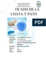 Informe Del Uso de La Chata y Pato