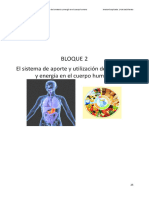 Anatomia AP Bloque 2