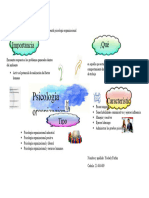 Mapa Mental Psicologia Organizacional