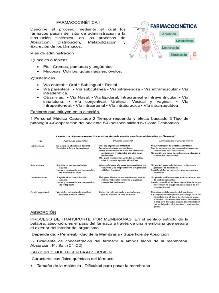 Resumen Farmaco | PDF | Wellness