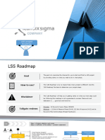 LSS Project Roadmap