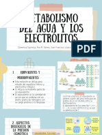 Presentación Metabolismo Del Agua y Los Electrolitos